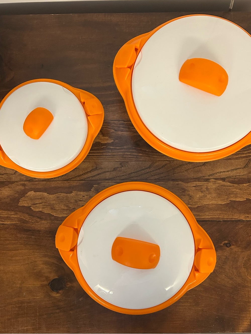 Set of 3 Insulated Hot 🔥 / ❄️ Cold Bowls with Lids